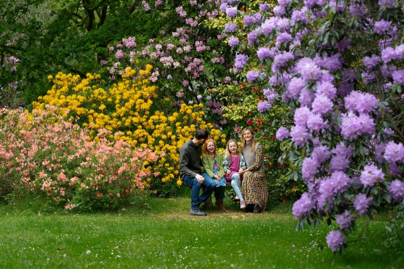 Bowood Woodland Garden